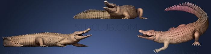 3D model Crocodile (STL)